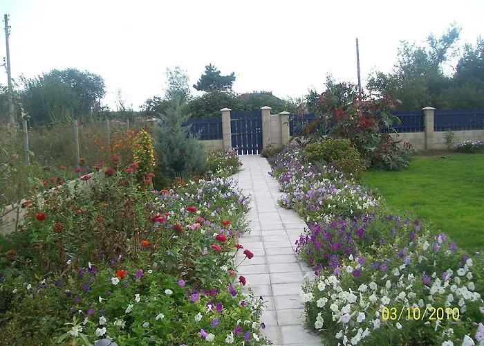 White House Krapets Крапец